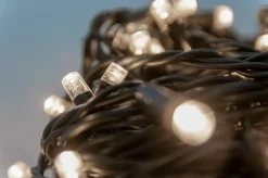 Outdoor 100 LEDs on green wire, white, 52,5′