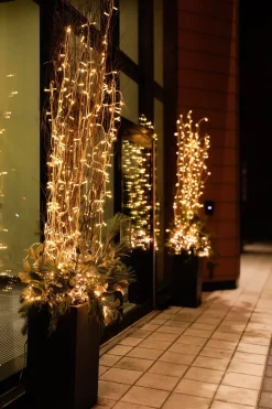 Outdoor 100 LEDs on white wire, warm white, 52,5′