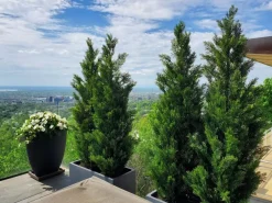 Outdoor artificial cedar shrub, 84″