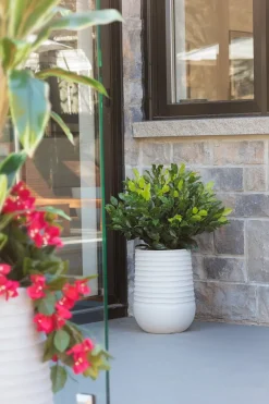 Outdoor artificial ficus topiary in a grey terrazzo beige pot, 28 x 16"