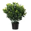 Outdoor artificial ficus topiary, 24"