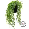 Outdoor artificial potted pellaea fern, 25 x 19"