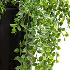 Outdoor artificial potted pellaea fern, 25 x 19"