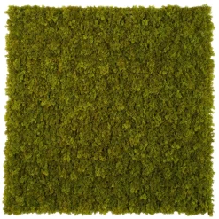 Outdoor fire-retardant light green moss panel, 40 x 40"