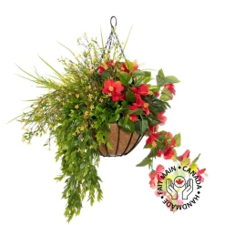 Outdoor hanging flower pot with red hibiscus, 27 x 20″