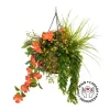 Outdoor hanging flower pot with orange hibiscus, 27 x 20″