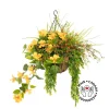 Outdoor hanging flower pot with yellow hibiscus, 27 x 20″