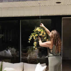 Outdoor hanging planter of yellow hibiscus, 18 x 16″