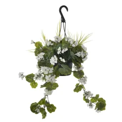 Outdoor hanging planter of white geranium, 18 x 16″