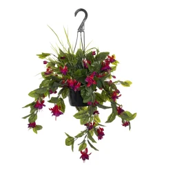 Outdoor hanging planter of fuchsias, 18 x 16″