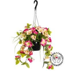 Outdoor hanging planter of petunia, 18 x 16″