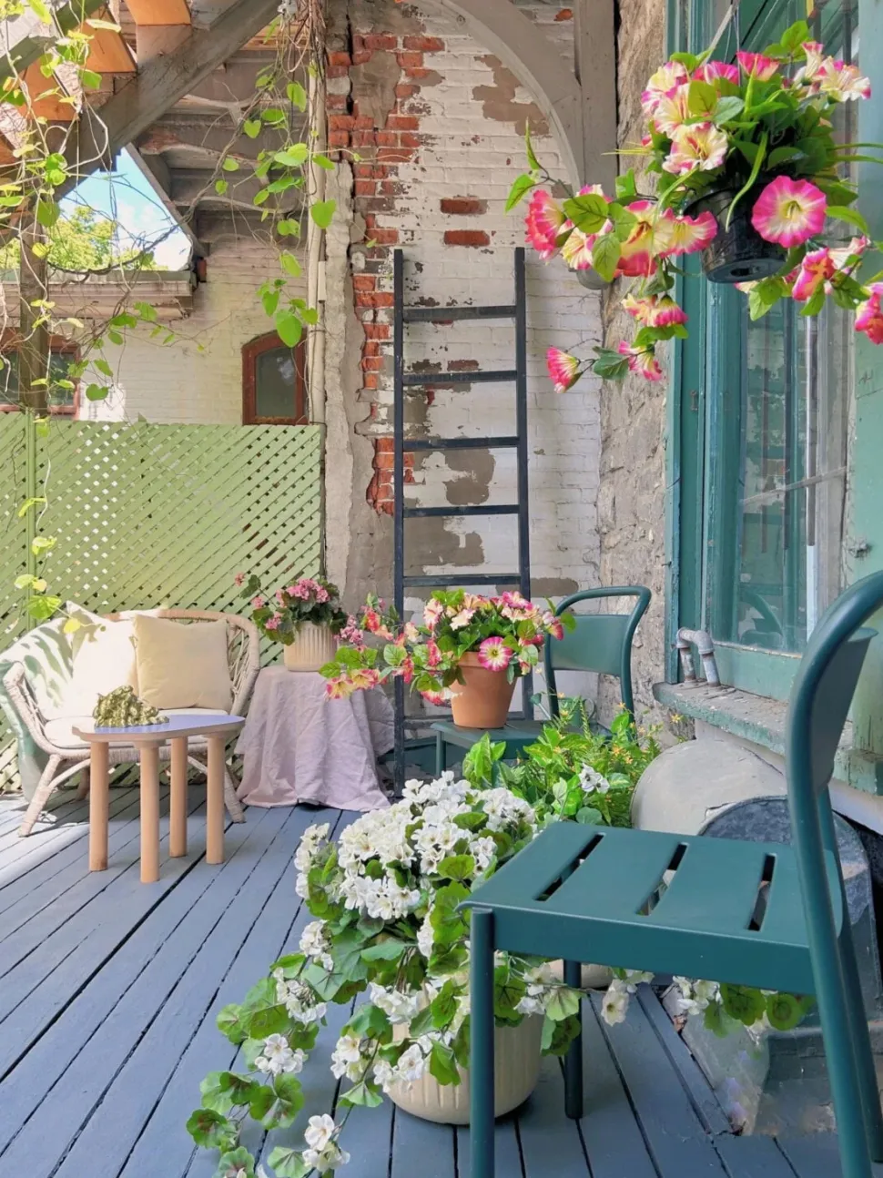 Outdoor hanging planter of petunia, 18 x 16″