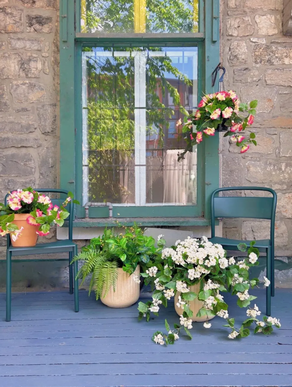 Outdoor hanging planter of petunia, 18 x 16″