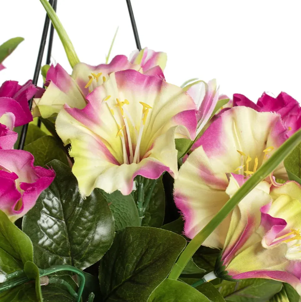 Outdoor hanging planter of petunia, 18 x 16″