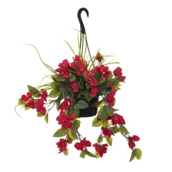 Outdoor hanging planter of bougainvillea, 18 x 16″