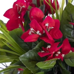 Outdoor hanging planter of bougainvillea, 18 x 16″