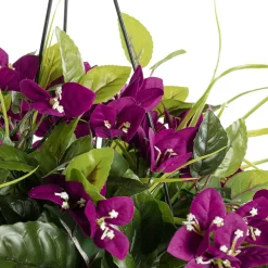 Outdoor hanging planter of purple bougainvillea, 18 x 16″