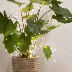 Outdoor LED plant light wire, 15,5″