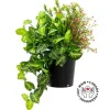 Outdoor potted red flower arrangement, 20 x 20"