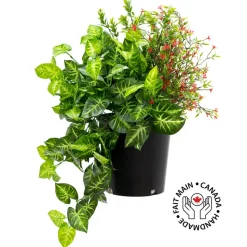 Outdoor potted red flower arrangement, 20 x 20"