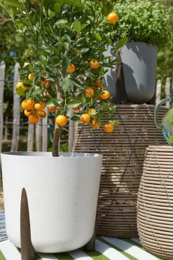 Outdoor white standing planter, 10 x 10"