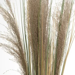 Pampas bouquet, 39″