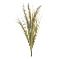 Pampas bouquet, 48″