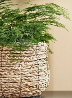 Panier en fibre naturelle doublé