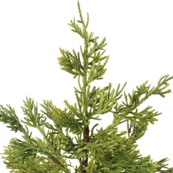 Petit cèdre artificiel en pot, 17 x 7″