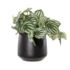 Petit plant de pépéromia artificiel en pot noir