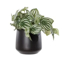 Petit plant de pépéromia artificiel en pot noir