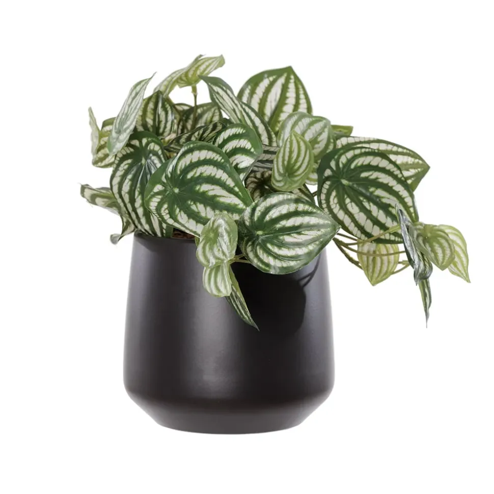 Petit plant de pépéromia artificiel en pot noir