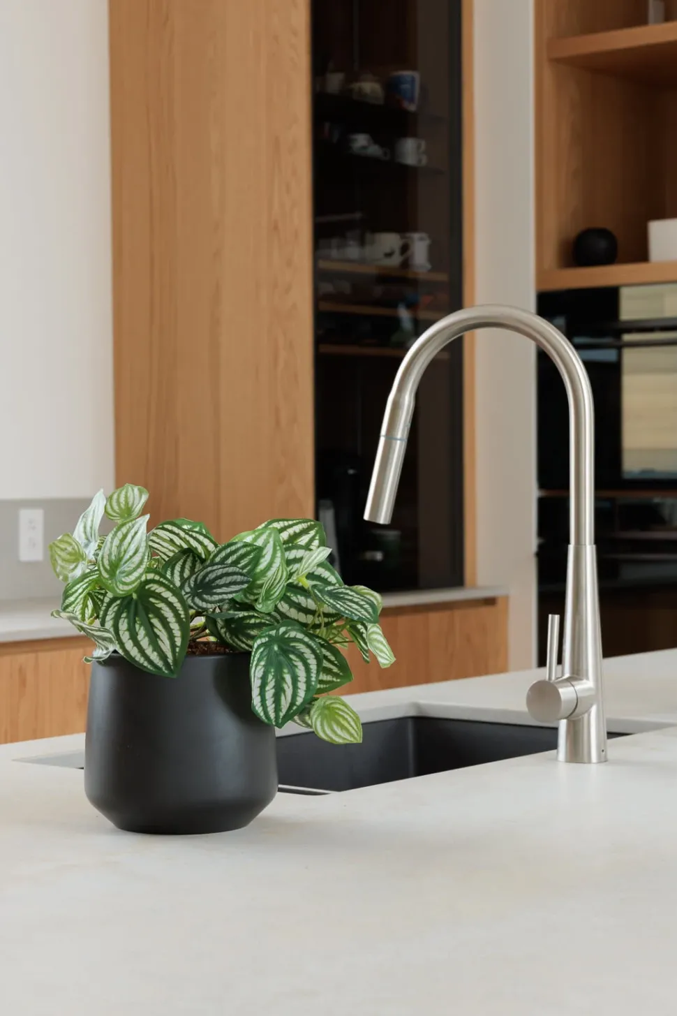 Petit plant de pépéromia artificiel en pot noir