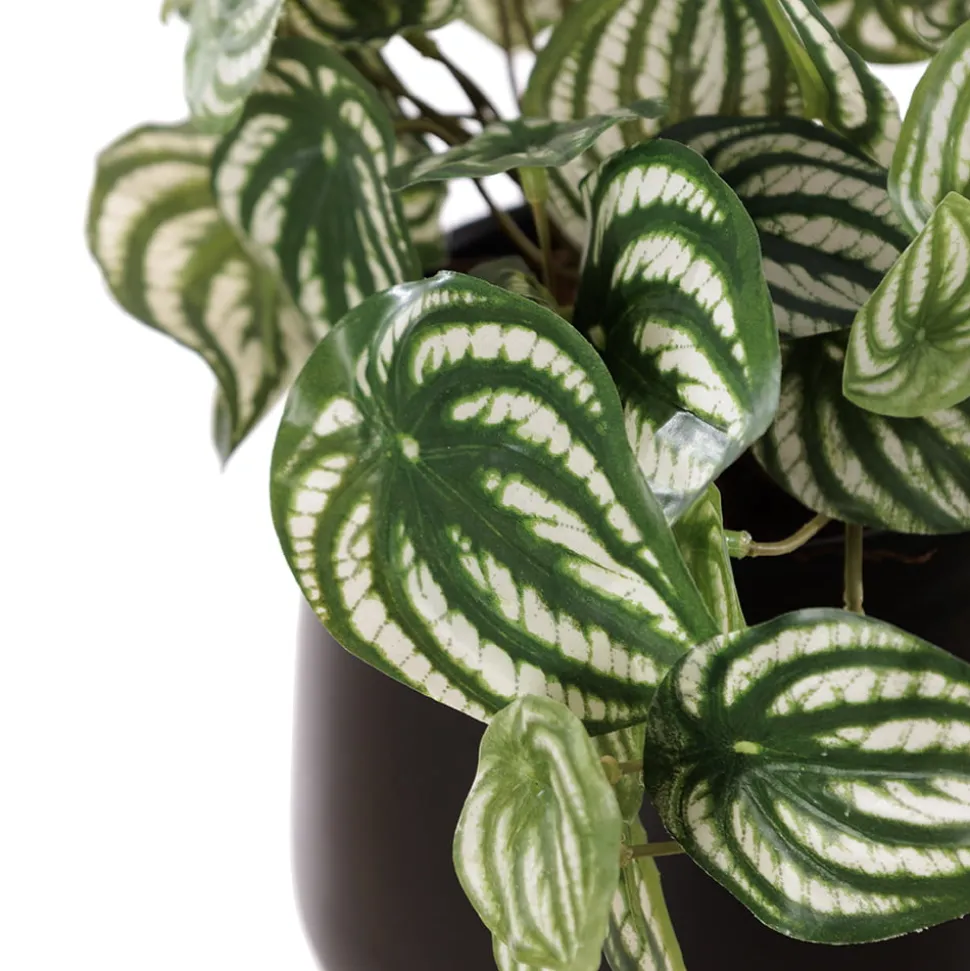 Petit plant de pépéromia artificiel en pot noir