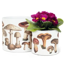 Petit pot décoratif à motif de champignons, 4,5″