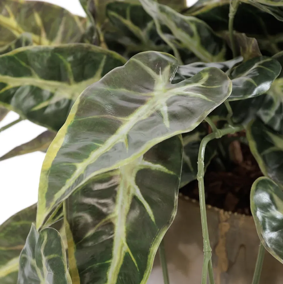 Petite plante murale de bégonia artificiel, 18 x 23″