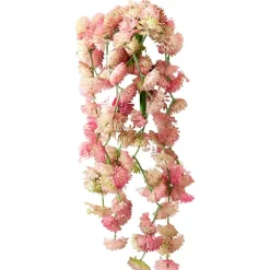 Petites succulentes roses et retombantes 14″