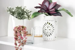 Petites succulentes roses et retombantes 14″