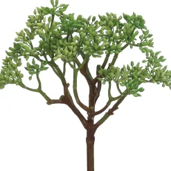 Pic de sédum artificiel au toucher réel, 9″