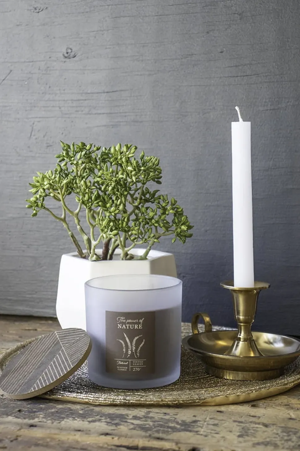 Pic de sédum artificiel au toucher réel, 9″