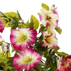 Pink and white outdoor trailing petunia