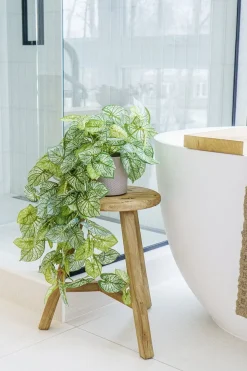 Plant de caladium retombant artificiel, 32″