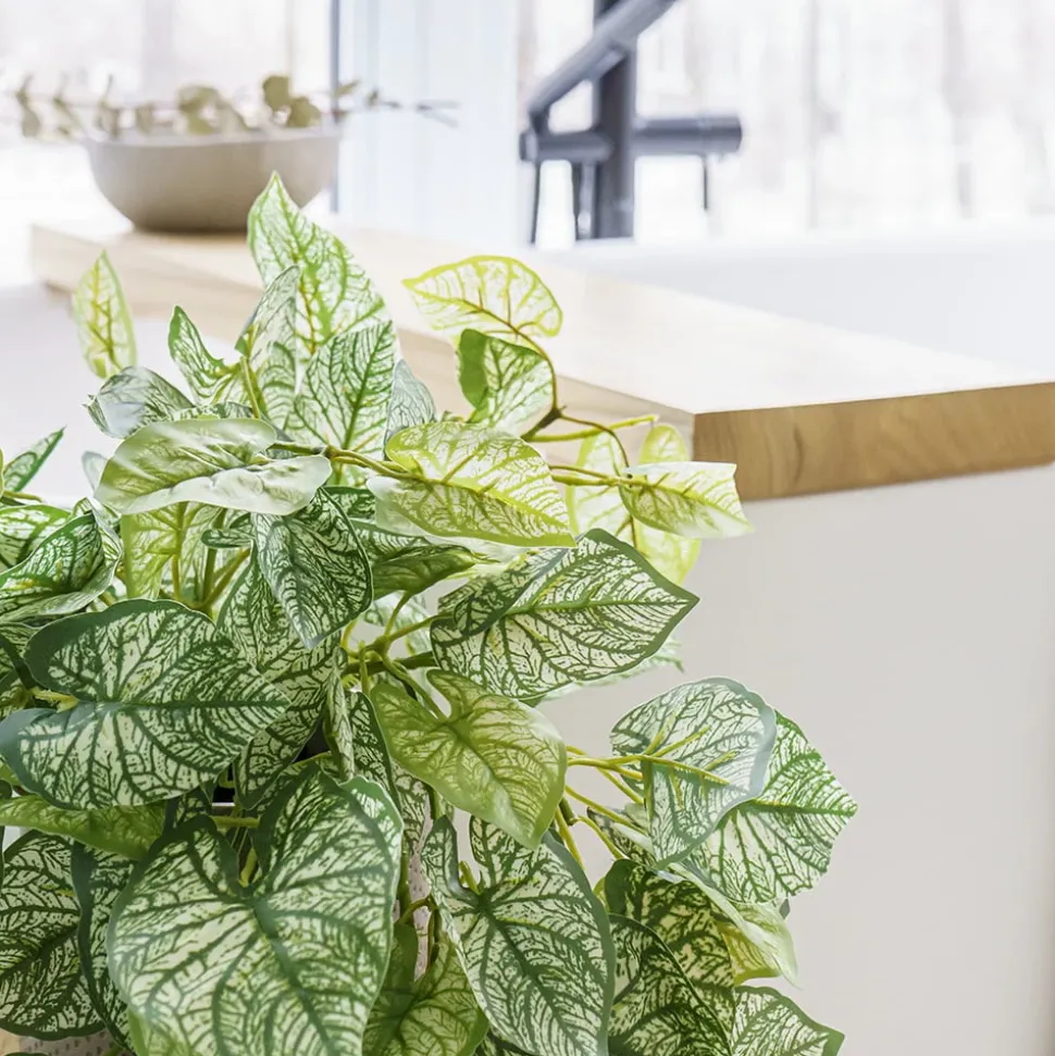 Plant de caladium retombant artificiel, 32″