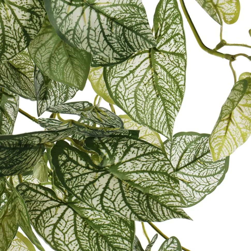 Plant de caladium retombant artificiel, 32″