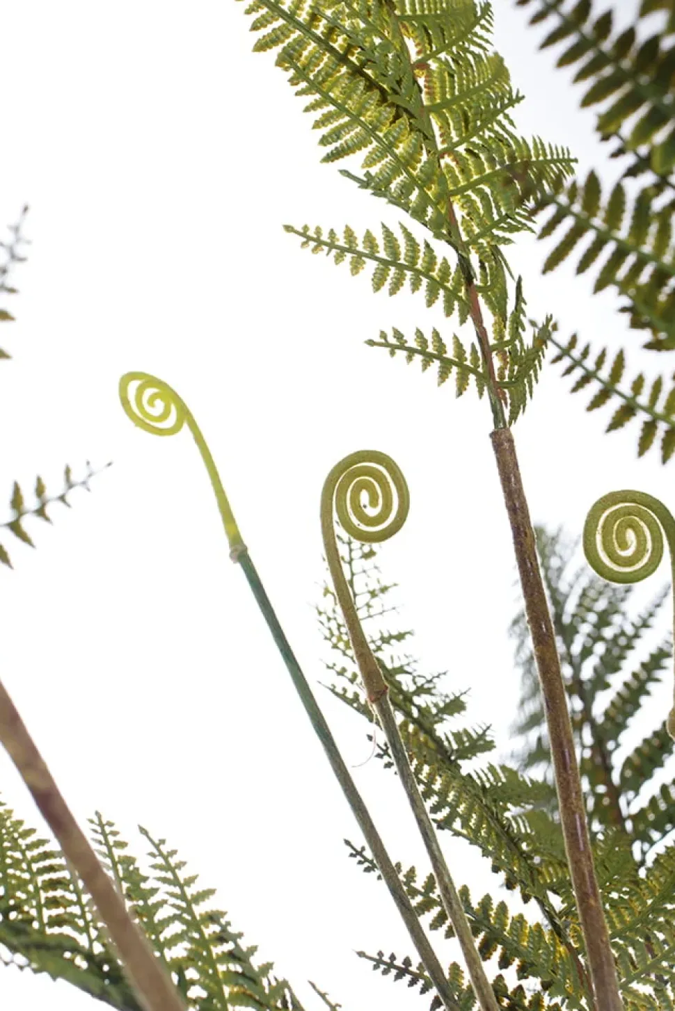 Plant de fougère artificielle, 33″