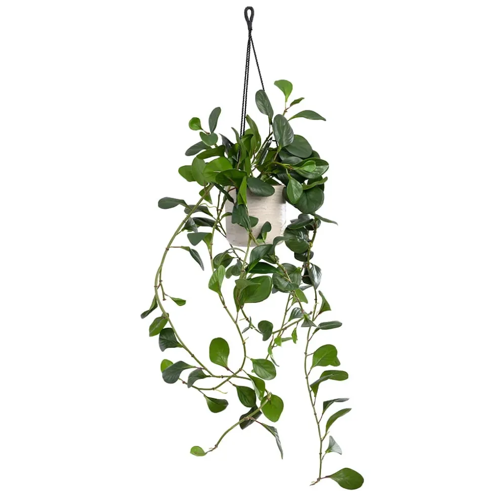 Plant de jade artificiel en pot suspendu, 46 x 16″