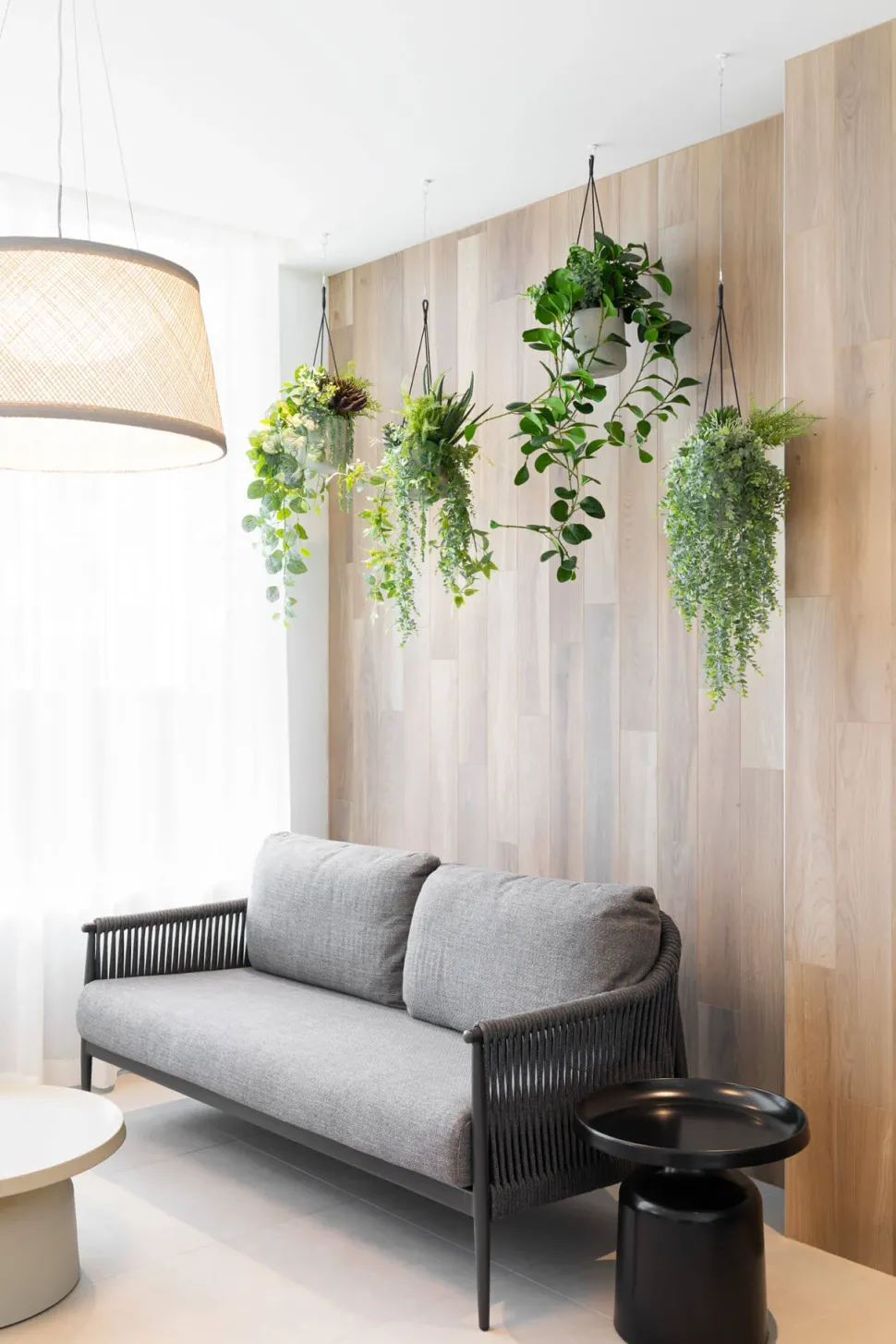 Plant de jade artificiel en pot suspendu, 46 x 16″