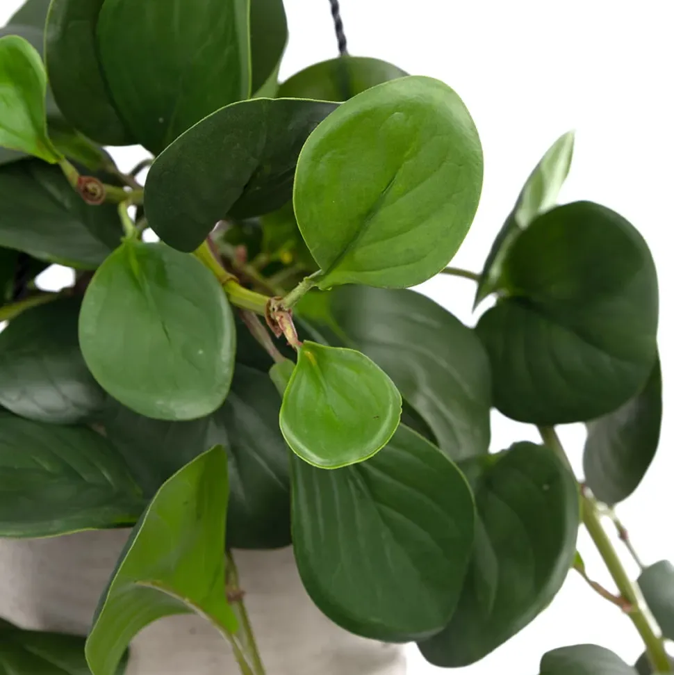 Plant de jade artificiel en pot suspendu, 46 x 16″