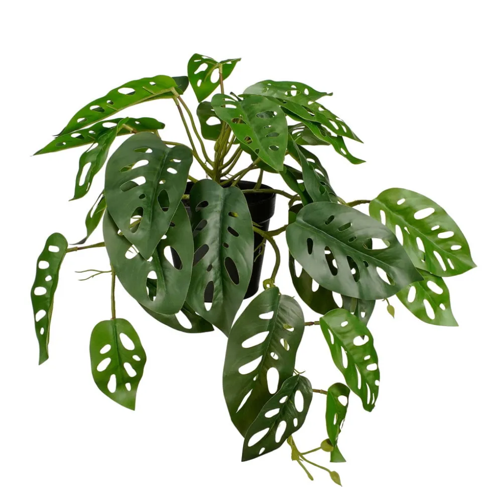 Plant de monstera retombant artificiel en pot, 9 x 15,5″