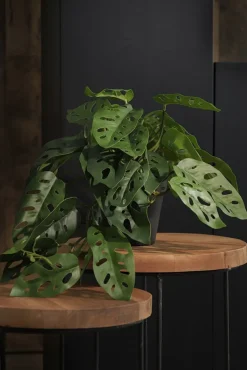 Plant de monstera retombant artificiel en pot, 9 x 15,5″